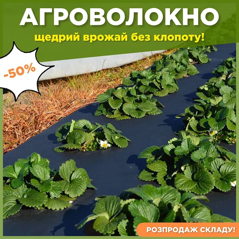 Заголовок